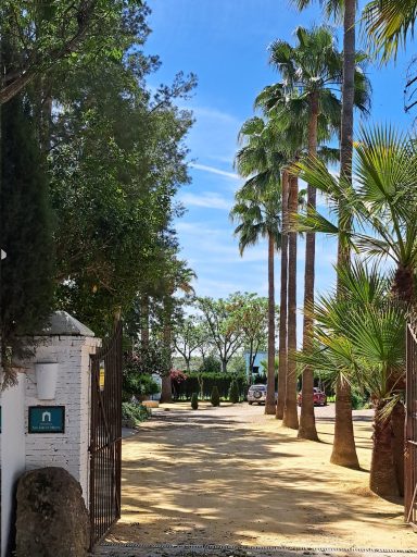 Entrada al recinto San Luis de Mejina